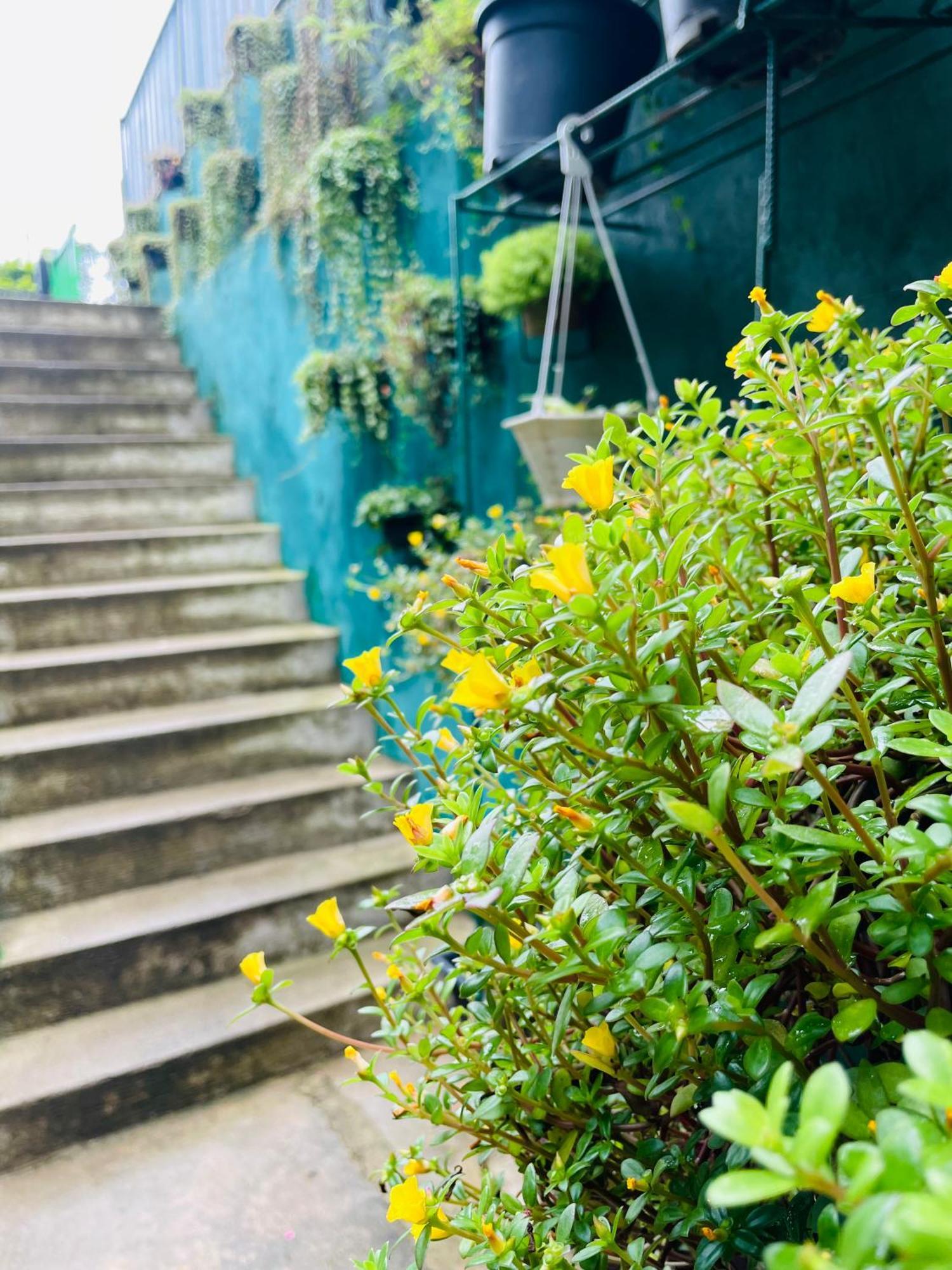 Little Paradise Homestay 엘라 외부 사진