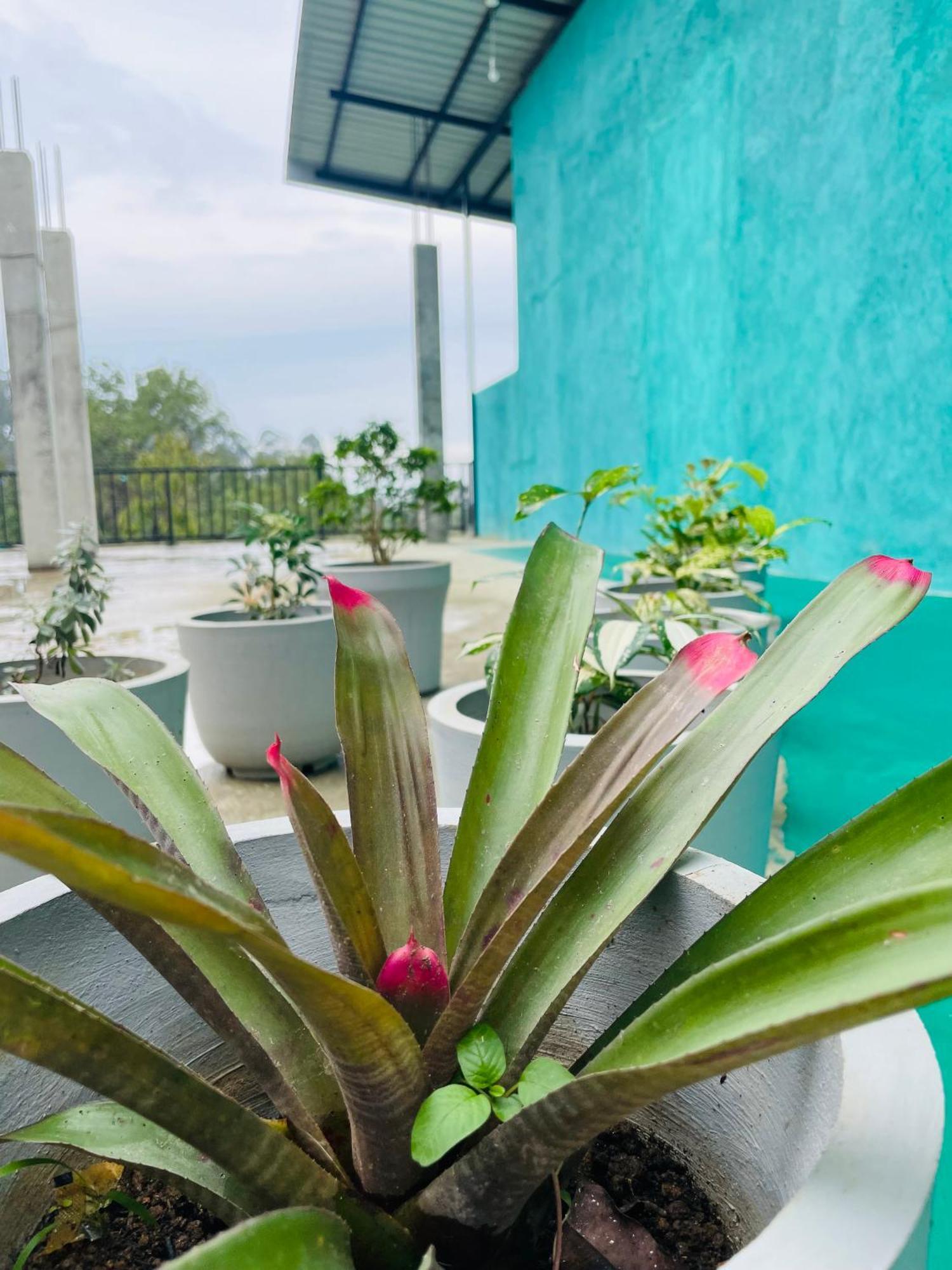 Little Paradise Homestay 엘라 외부 사진