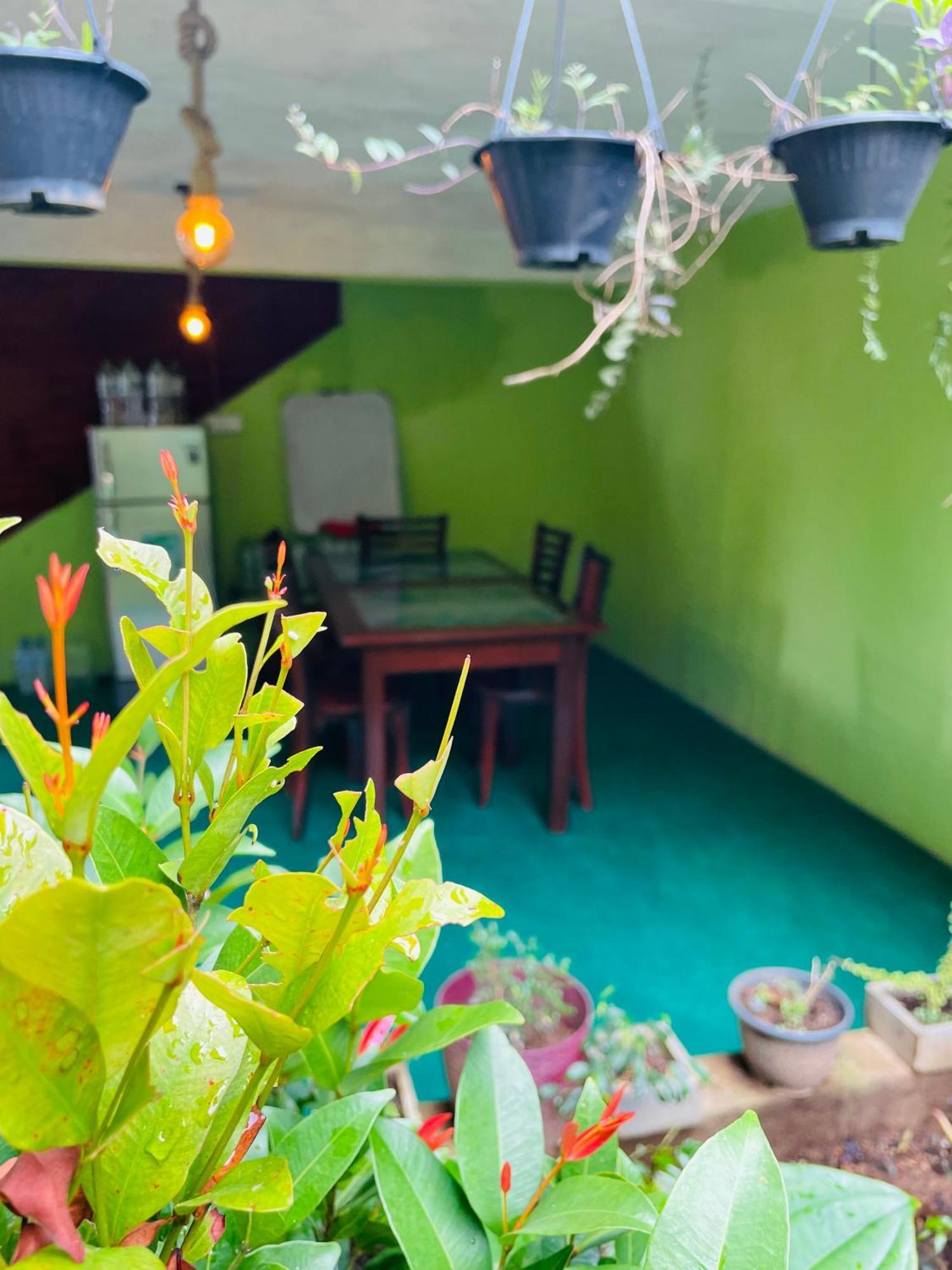 Little Paradise Homestay 엘라 외부 사진